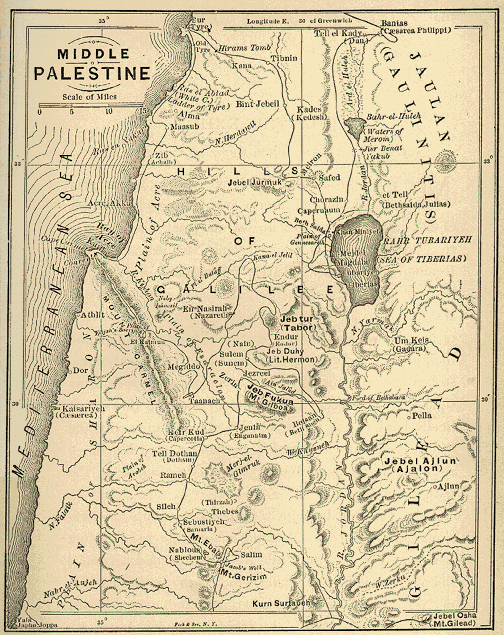 mid_palestine